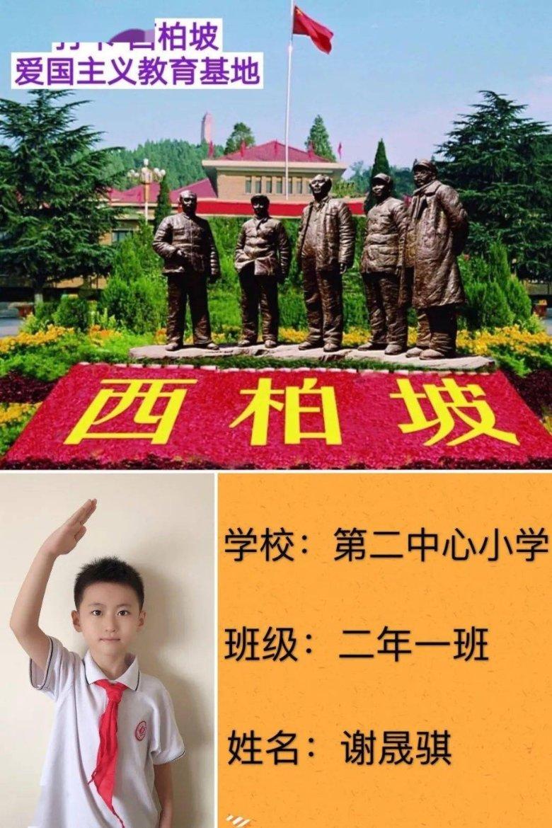 实际收入和个人所得税app上收入相差很大？游戏画面